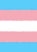 Transgender Pride Flag Sketchbook