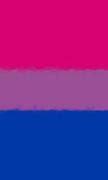 Bisexual Pride Flag Sketchbook