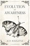 Evolution of Awareness