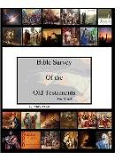 Seek and Find It: Old and New Testament Outline and Index