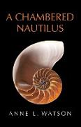 A Chambered Nautilus