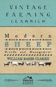 Modern Sheep - Breeds and Management