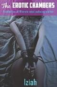 The Erotic Chambers Book.1: A collection of 18 mind seducing stories