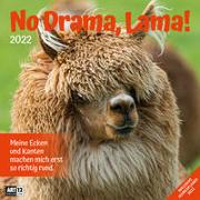 No Drama, Lama! Kalender 2022 - 30x30