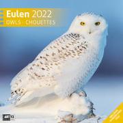 Eulen Kalender 2022 - 30x30