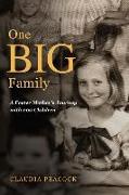 One BIG Family: A Foster Mother's Journey with 200 Children