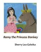 Remy the Princess Donkey