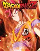 Dragon Ball Z: Jumbo DBS Coloring Book: 100 High Quality Pages: Volume 9