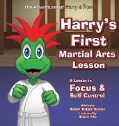 Harry's First Martial Arts Lesson