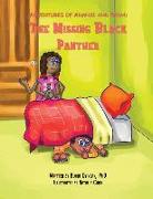 Adventures of Anansi and Sewa: The Missing Black Panther