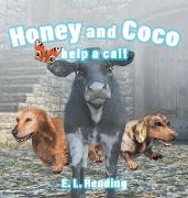 Honey and Coco help a calf