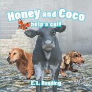 Honey and Coco help a calf