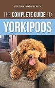 The Complete Guide to Yorkipoos