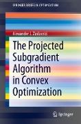 The Projected Subgradient Algorithm in Convex Optimization