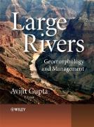 Large Rivers: Geomorphology and Management