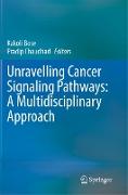 Unravelling Cancer Signaling Pathways: A Multidisciplinary Approach