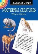 Learning About Nocturnal Creatures