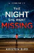 THE NIGHT SHE WENT MISSING