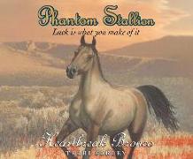 Phantom Stallion, 13: Heartbreak Bronco