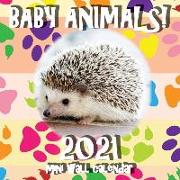 Baby Animals! 2021 Mini Wall Calendar