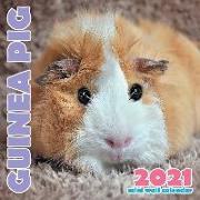 Guinea Pig 2021 Mini Wall Calendar