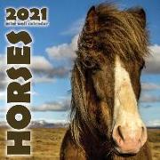 Horses 2021 Mini Wall Calendar