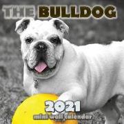 The Bulldog 2021 Mini Wall Calendar