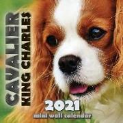 Cavalier King Charles 2021 Mini Wall Calendar