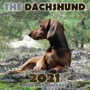 The Dachshund 2021 Mini Wall Calendar