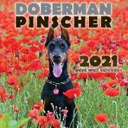 Doberman Pinscher 2021 Mini Wall Calendar