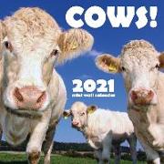 Cows! 2021 Mini Wall Calendar
