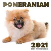 Pomeranian 2021 Mini Wall Calendar