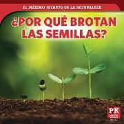 ¿por Qué Brotan Las Semillas? (How Seeds Sprout)