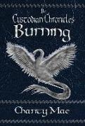 The Custodian Chronicles: Burning