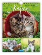 Wochenkalender "Katzen" 2022