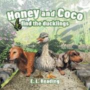 Honey and Coco find the ducklings