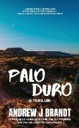 Palo Duro: A young Adult Thriller