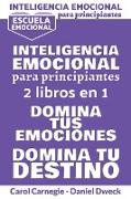 Inteligencia Emocional Para Principiantes