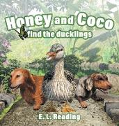 Honey and Coco find the ducklings