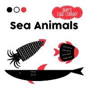 Sea Animals