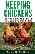 Keeping Chickens For Beginners