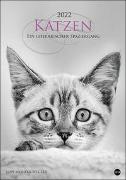Katzen - Ein literarischer Spaziergang Kalender 2022