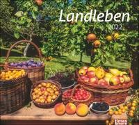 times&more Landleben Bildkalender 2022