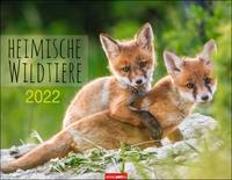 Heimische Wildtiere Kalender 2022