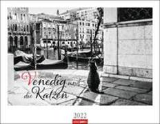 Venedig und die Katzen Kalender 2022