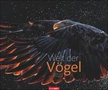 Welt der Vögel Kalender 2022