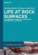 Life at rock surfaces