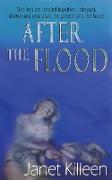 After the Flood