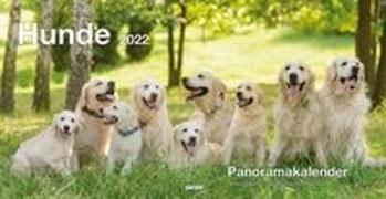 Panoramakalender Hunde 2022