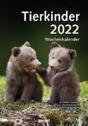Tierkinder 2022 Wochenkalender